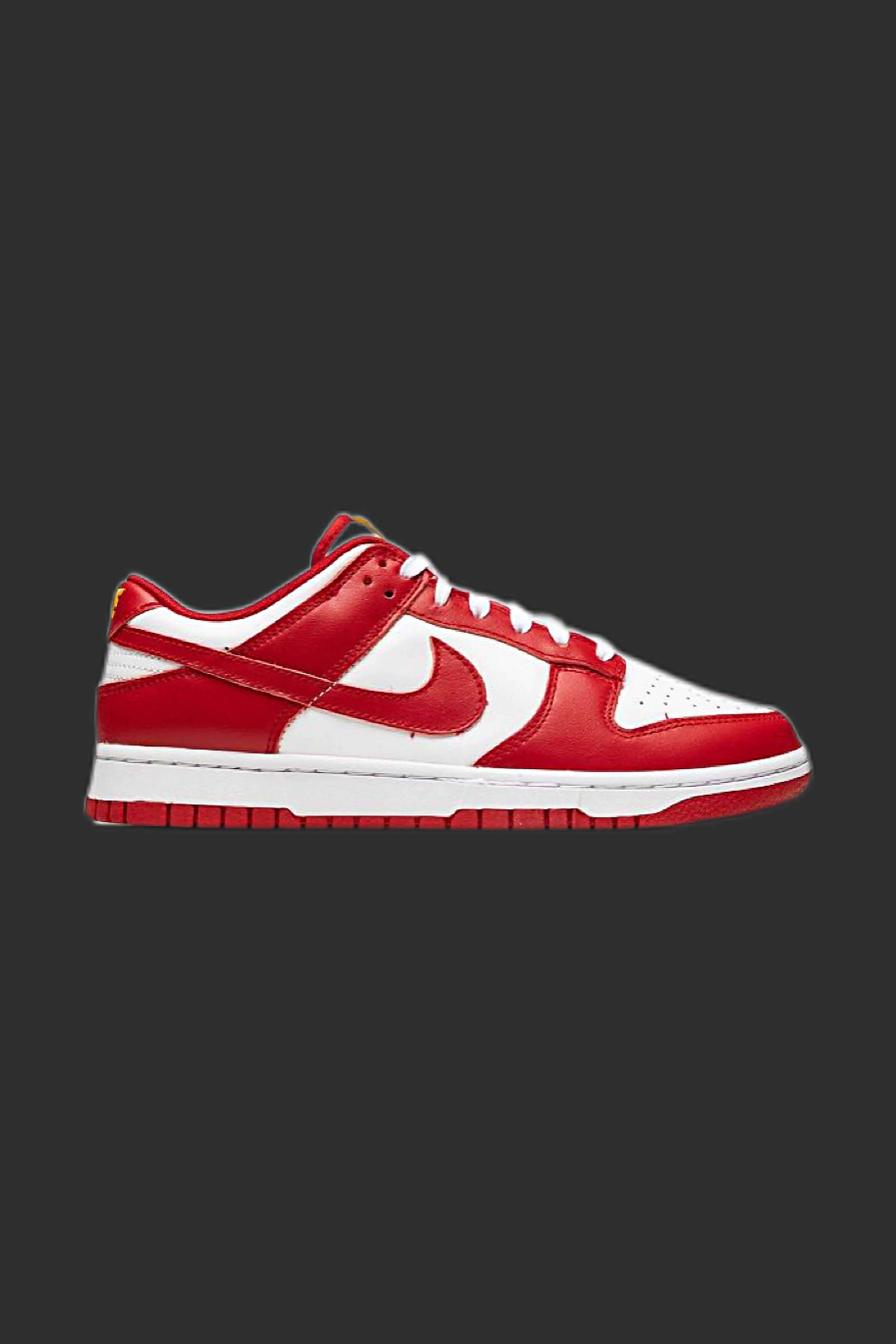 NIKE SB DUNK LOW