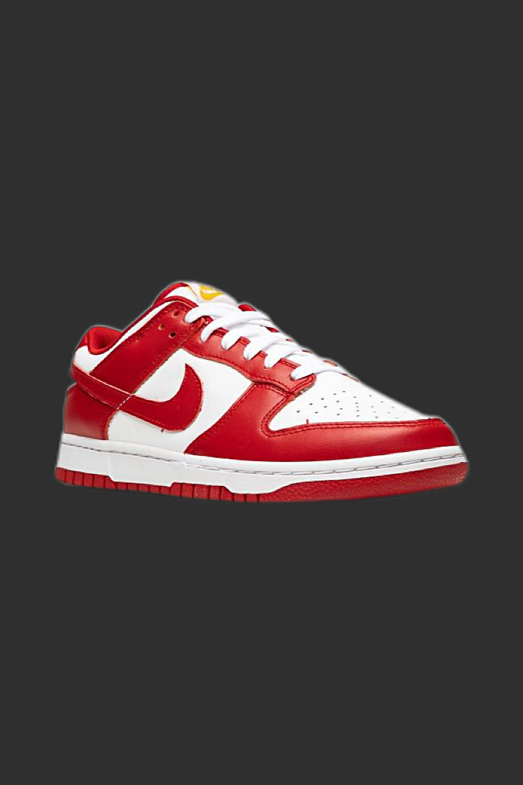NIKE SB DUNK LOW