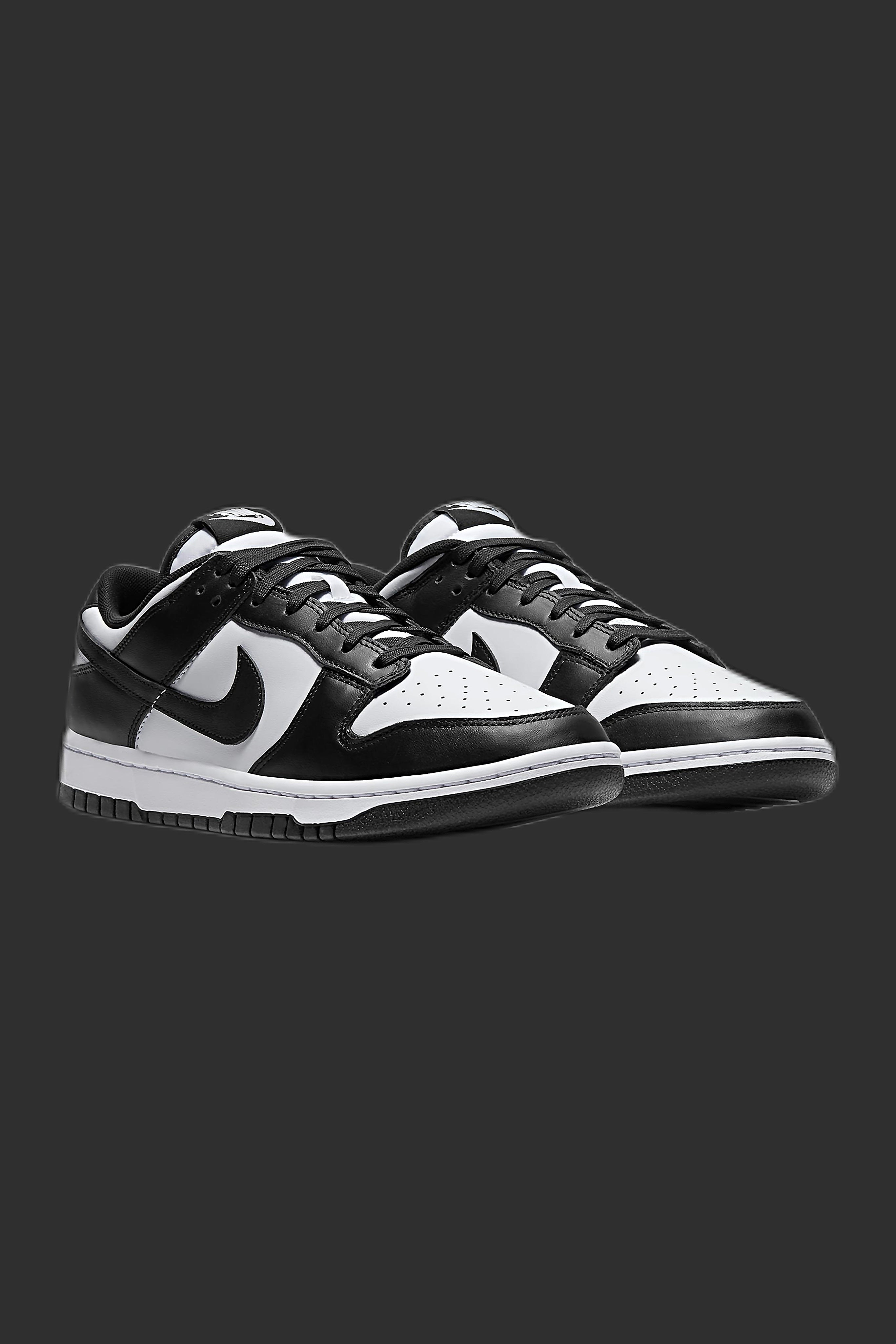 NIKE SB DUNK LOW