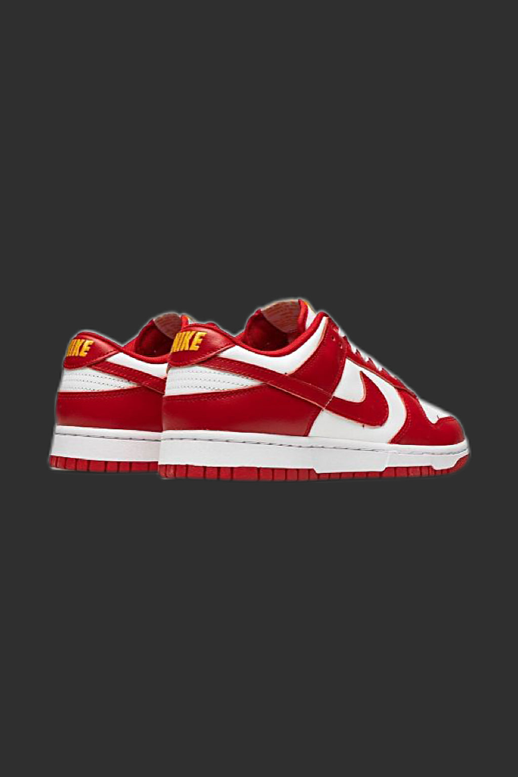 NIKE SB DUNK LOW
