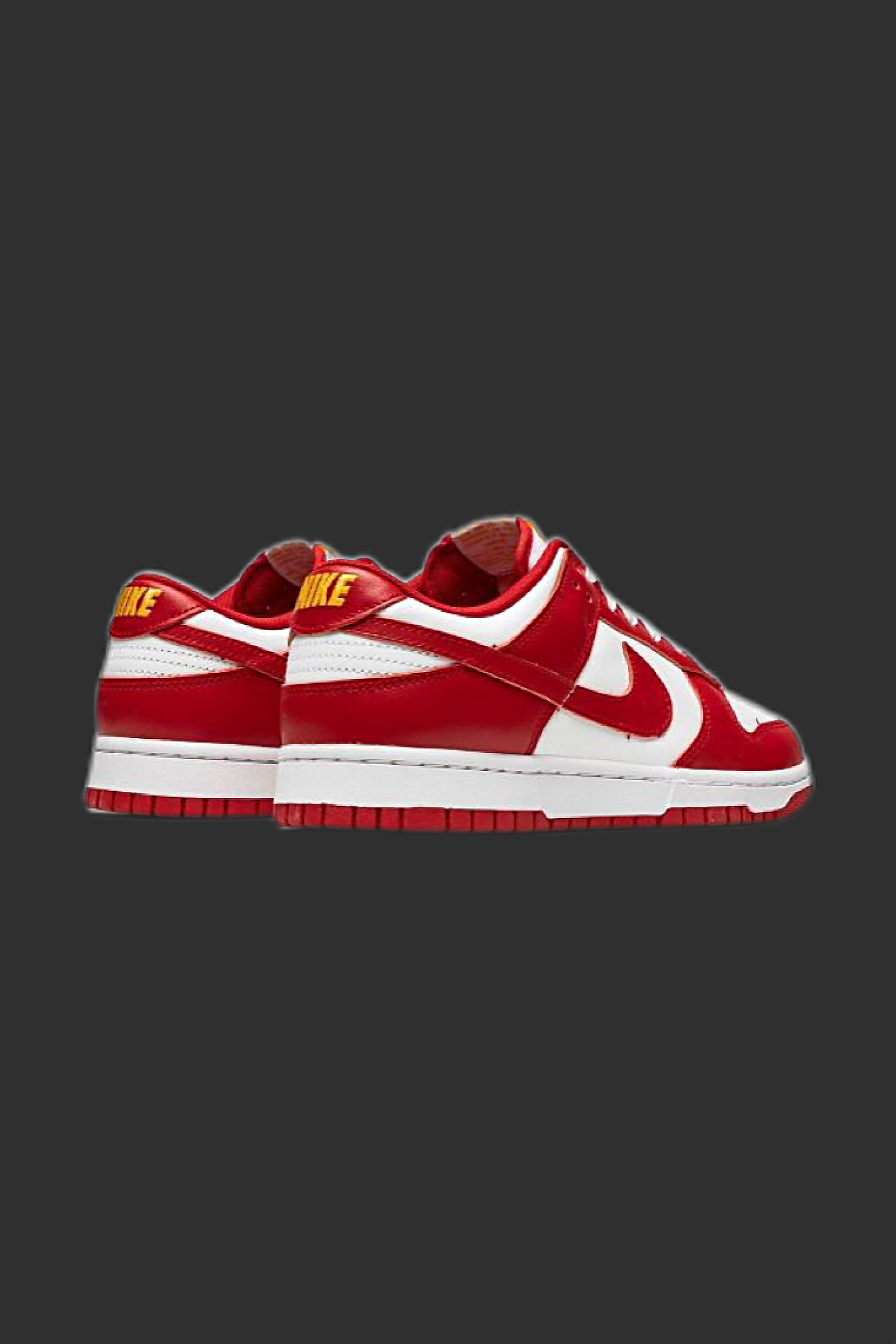 NIKE SB DUNK LOW
